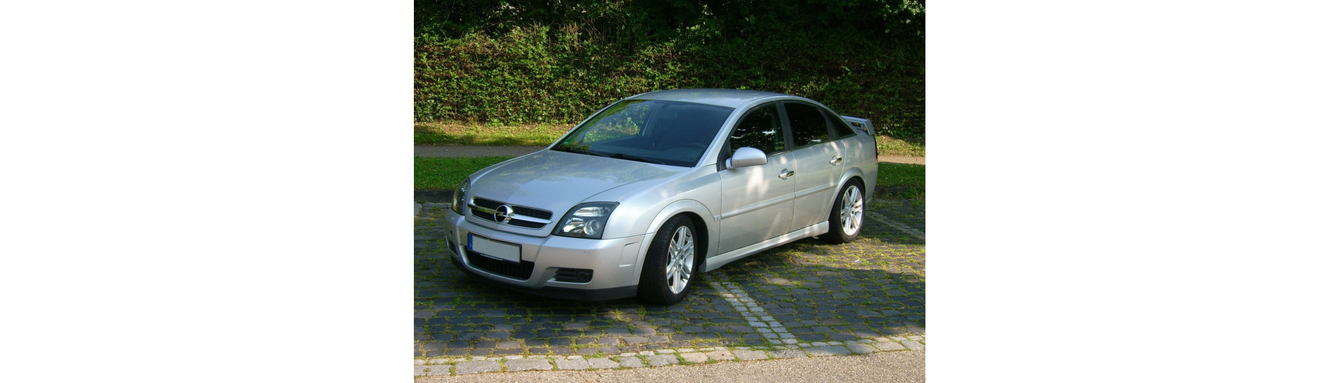 VECTRA C