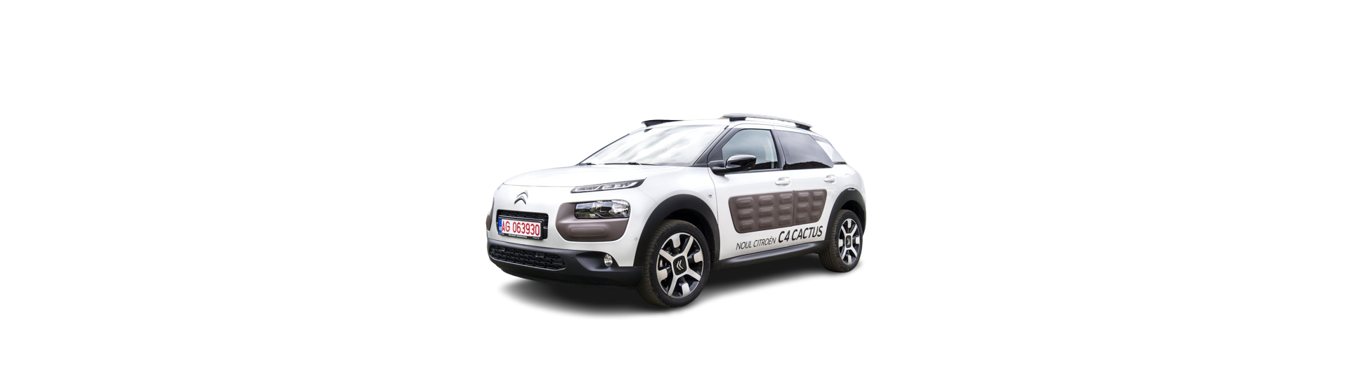 C4 CACTUS